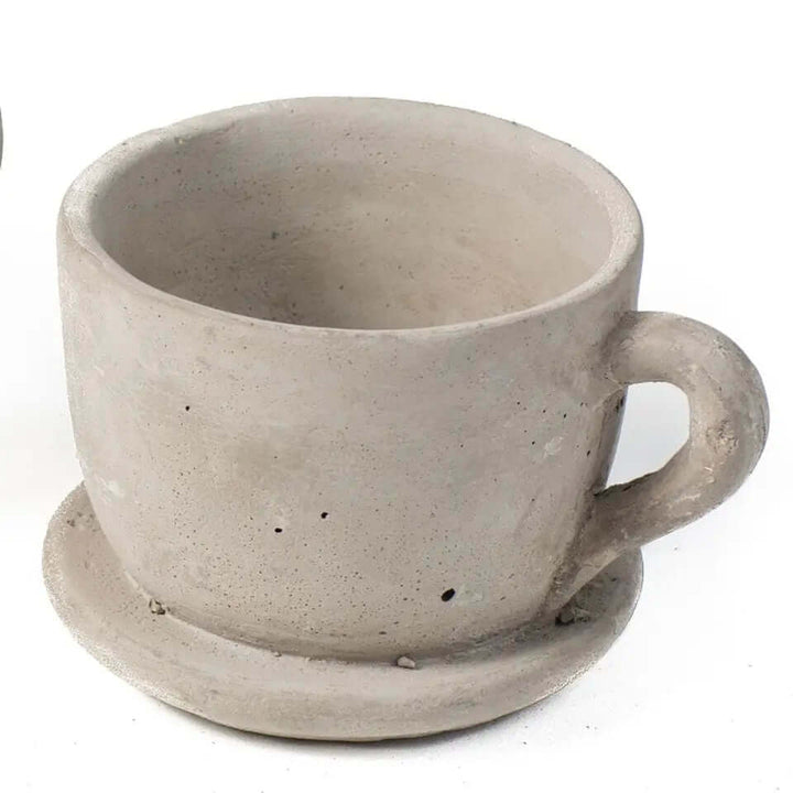 Large Cement Teacup Planter