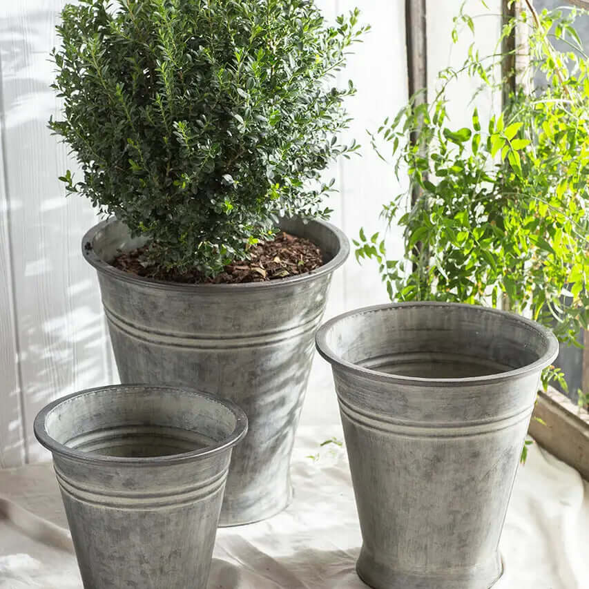 Metal Planters with Copper Finish - Set of 3