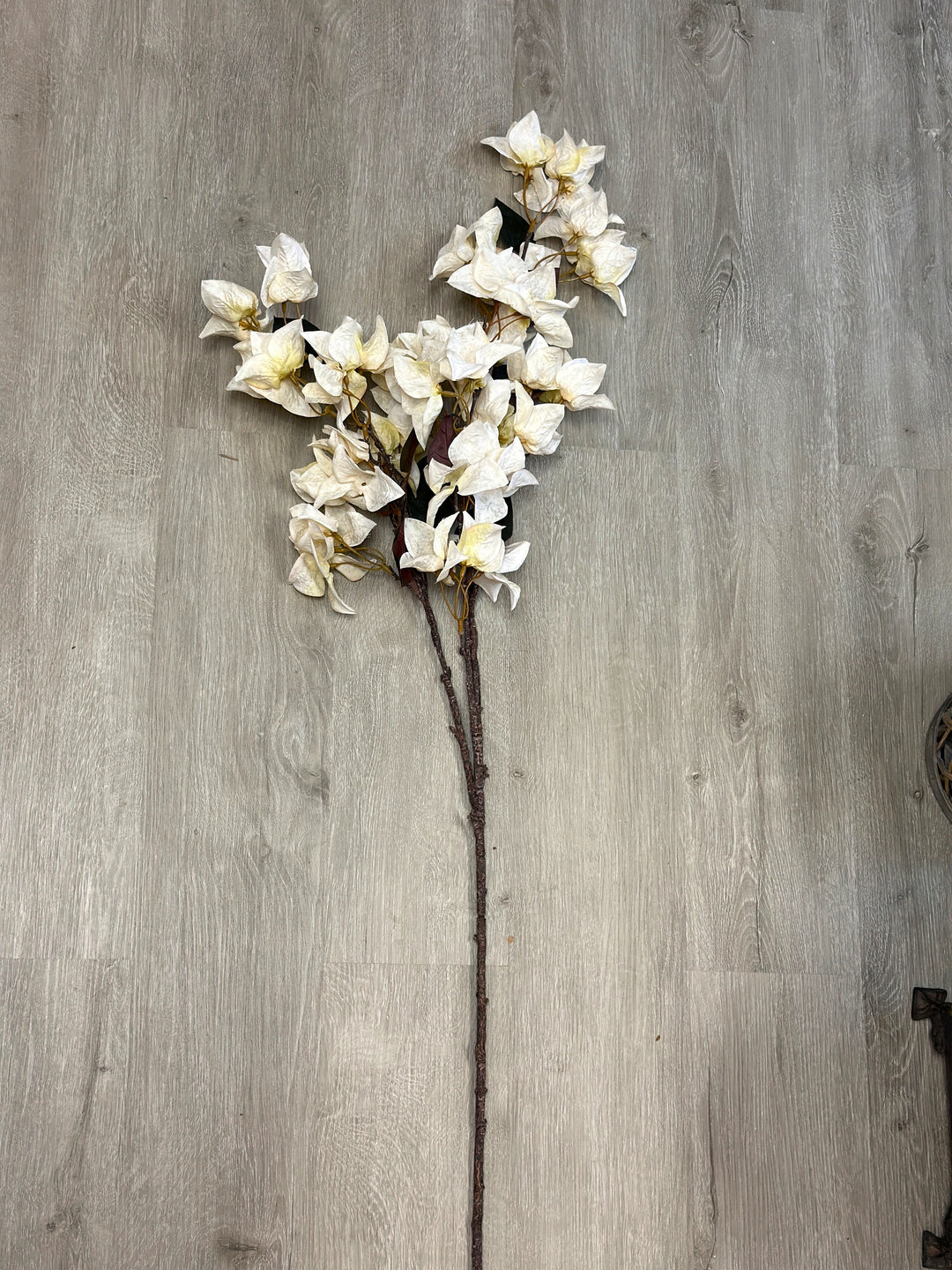 White bougainvillea faux flower stem laid flat to show its natural branching form