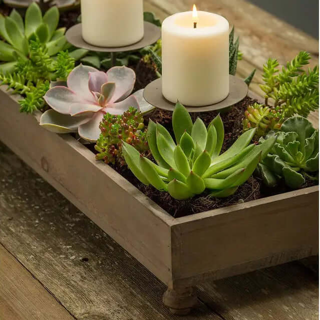 Close view of succulents and candle plates inside the weathered pine centerpiece
