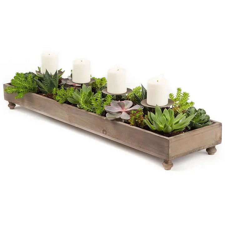 Recycled pine four-candle planter centerpiece isolated on white