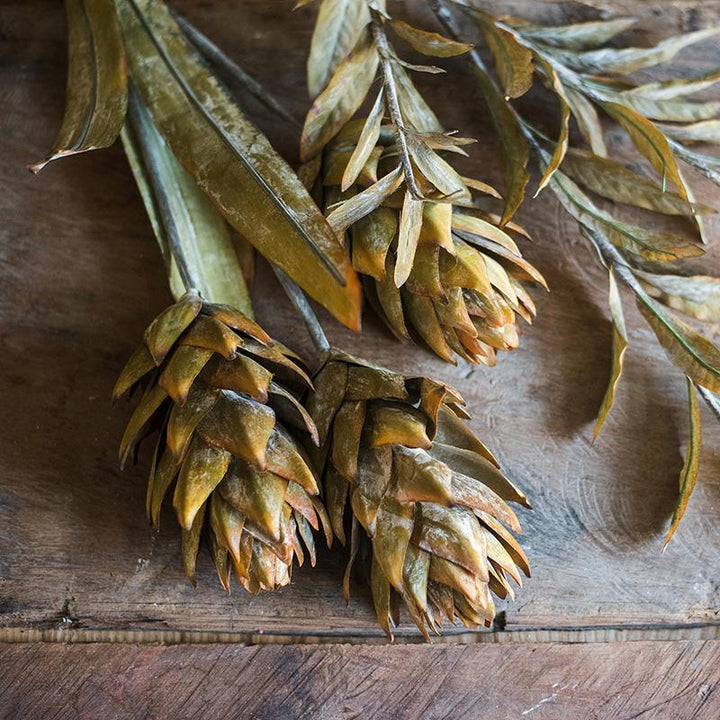 Renaissance Autumn Artificial Dried Flower and Plants Faux
