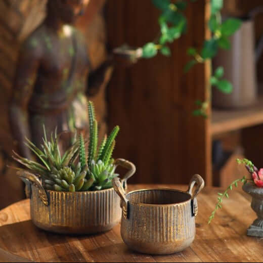Ribbed Antique Metal Planters with Handles, Set of 2 filled with succulents