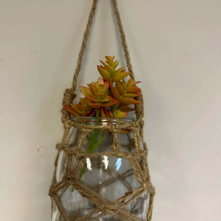 Hanging rope-net glass vessel holding a small succulent