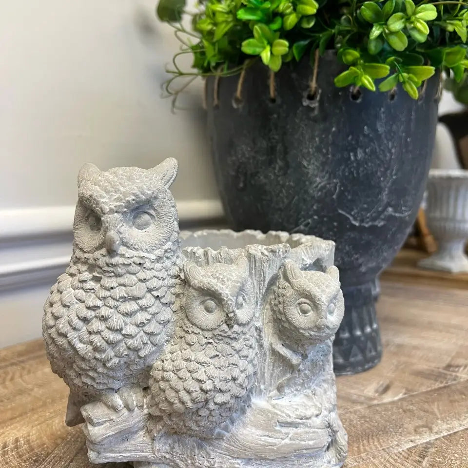 Rustic Cement Owl Planter Pot with Three Owls on a wooden table.