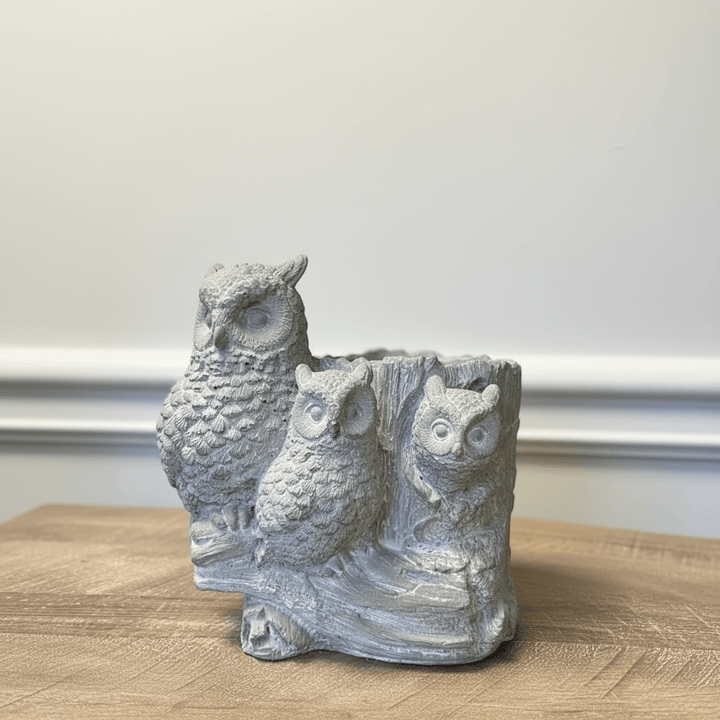Rustic Cement Owl Planter Pot with Three Owls on wooden table, showcasing woodland charm and cottagecore style.