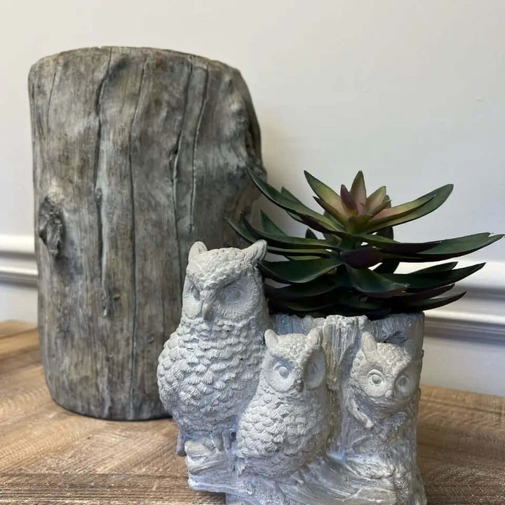 Rustic Cement Owl Planter Pot with Three Owls on a wooden table