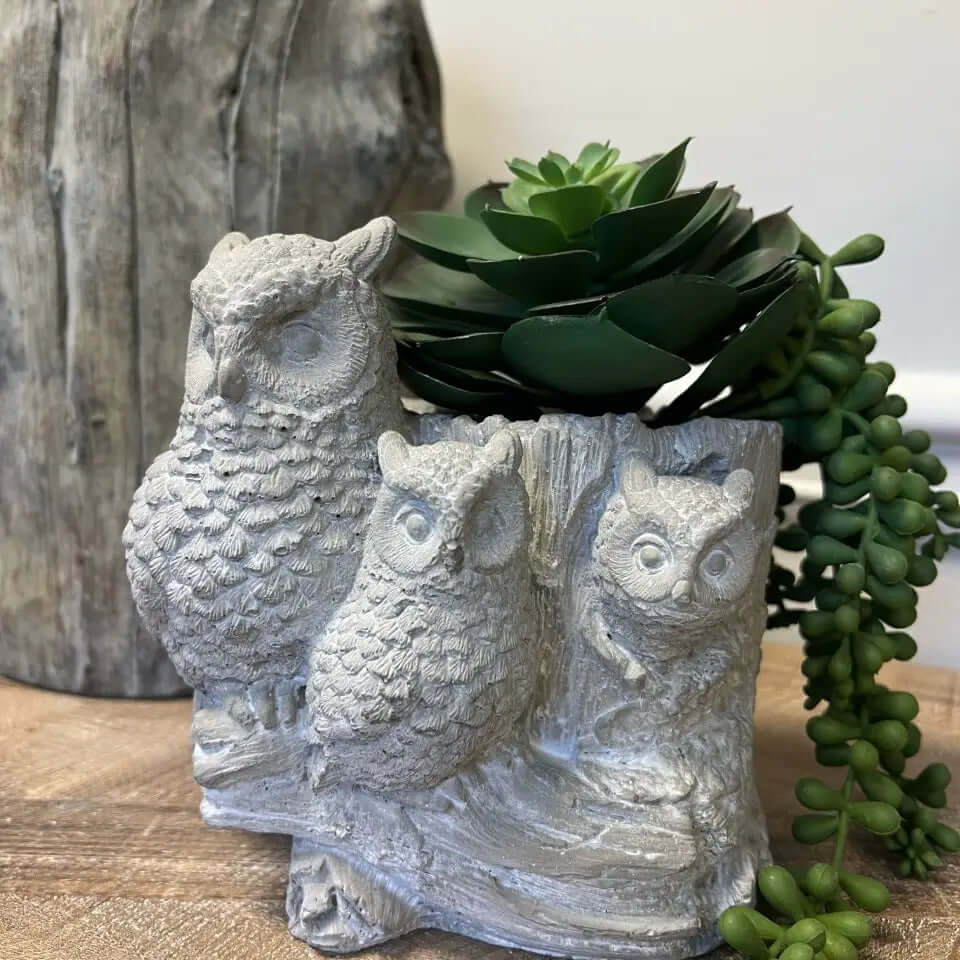 Rustic Cement Owl Planter Pot with Three Owls featuring green succulents, perfect for cottagecore decor.