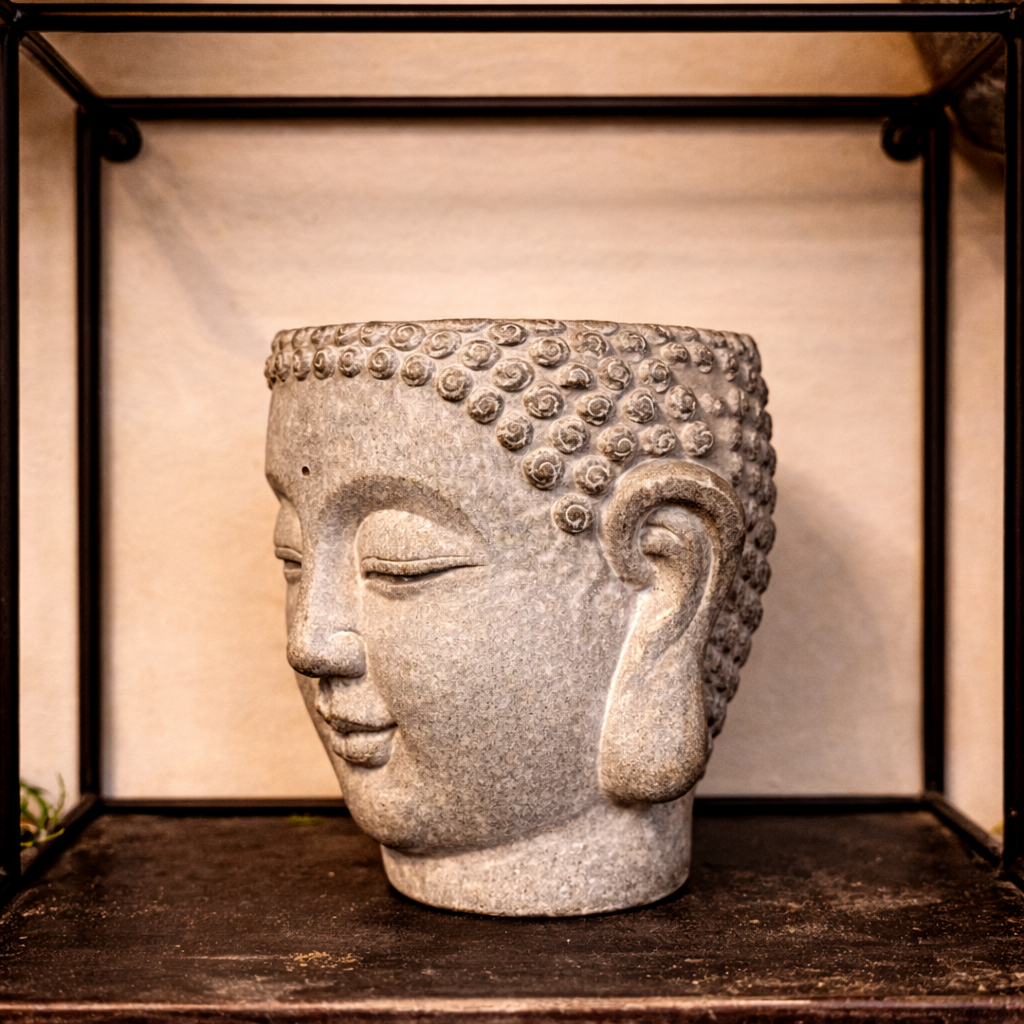 Large Sculpted Cement Buddha Wall Planter mounted in a quiet interior