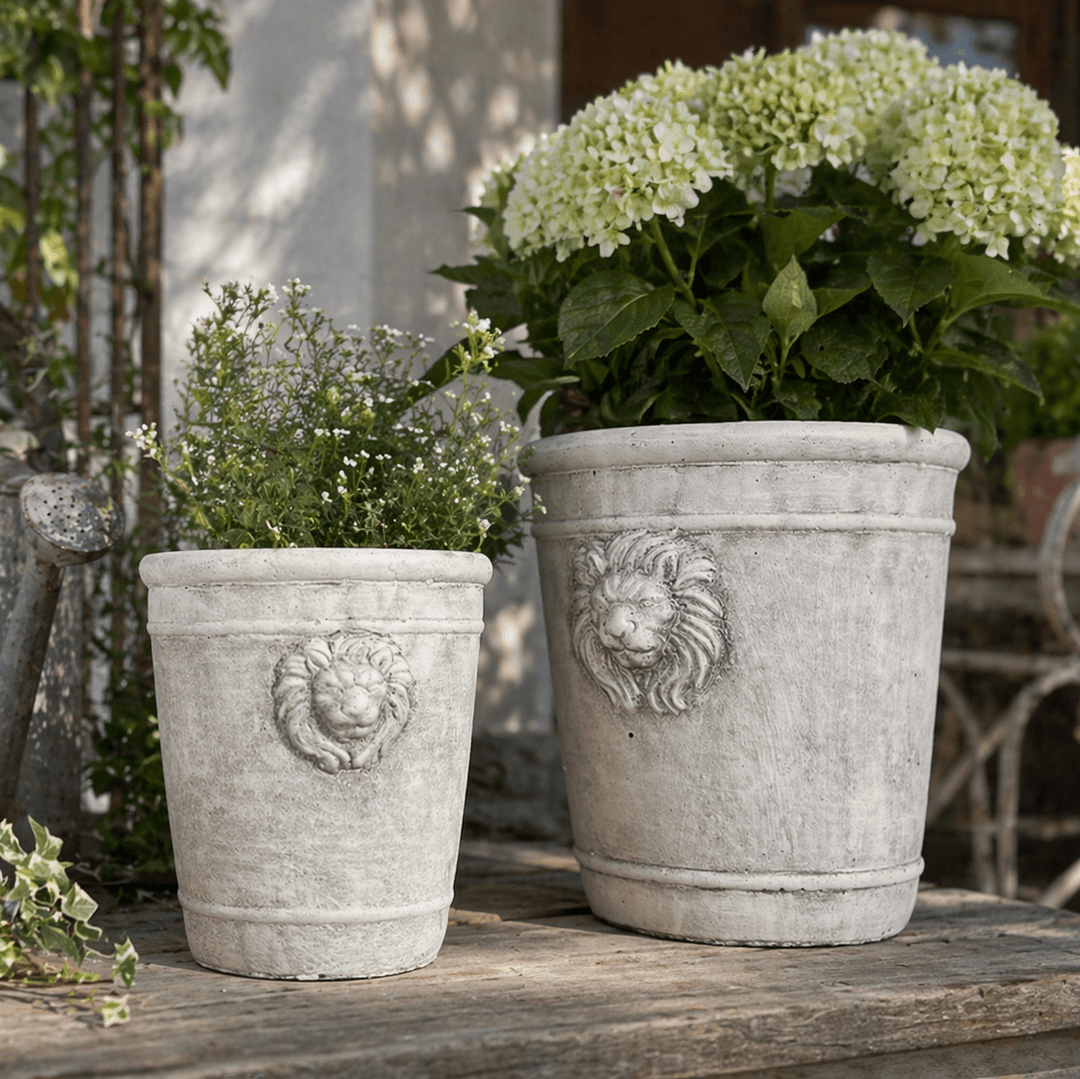 Medium and large sculpted cement lion head planters filled with white flowers on a weathered garden table