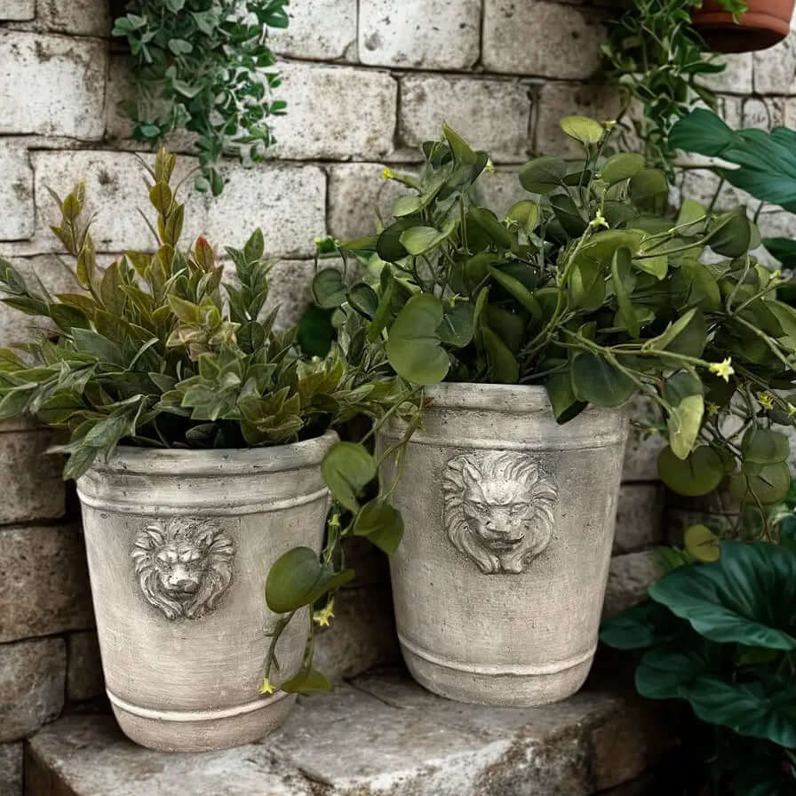 Two weathered gray cement lion head planters with leafy green plants against an old stone wall