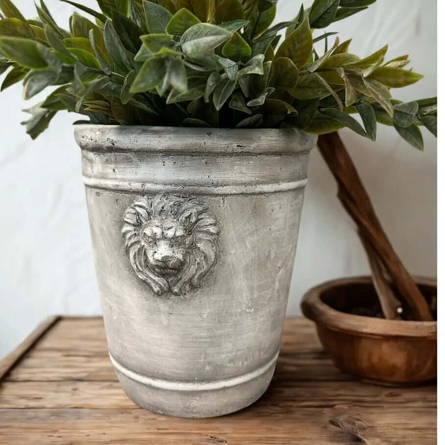 Medium sculpted cement lion head planter with greenery on a rustic wood table