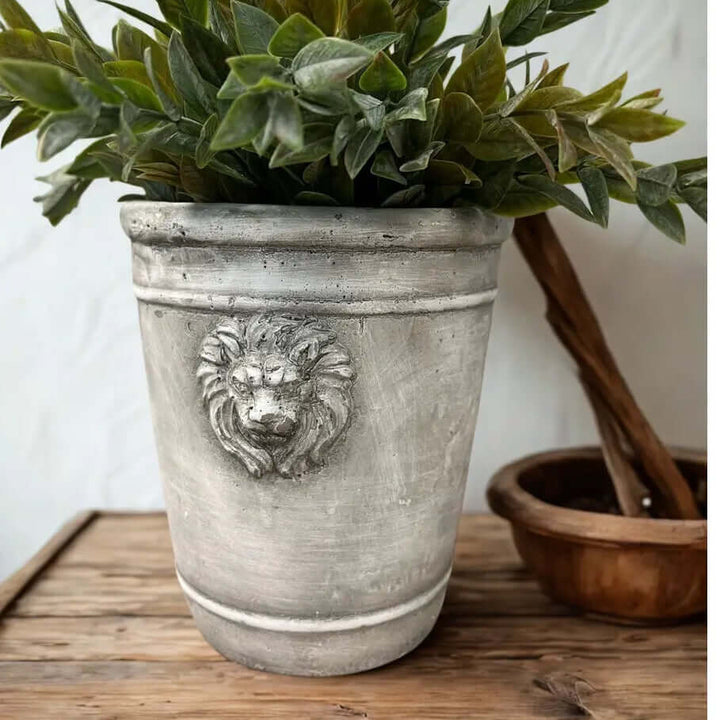 Medium sculpted cement lion head planter with greenery on a rustic wood table