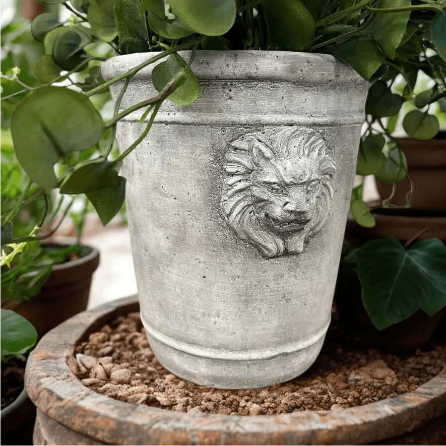 Large cement lion head planter with trailing greenery in a layered indoor garden setting
