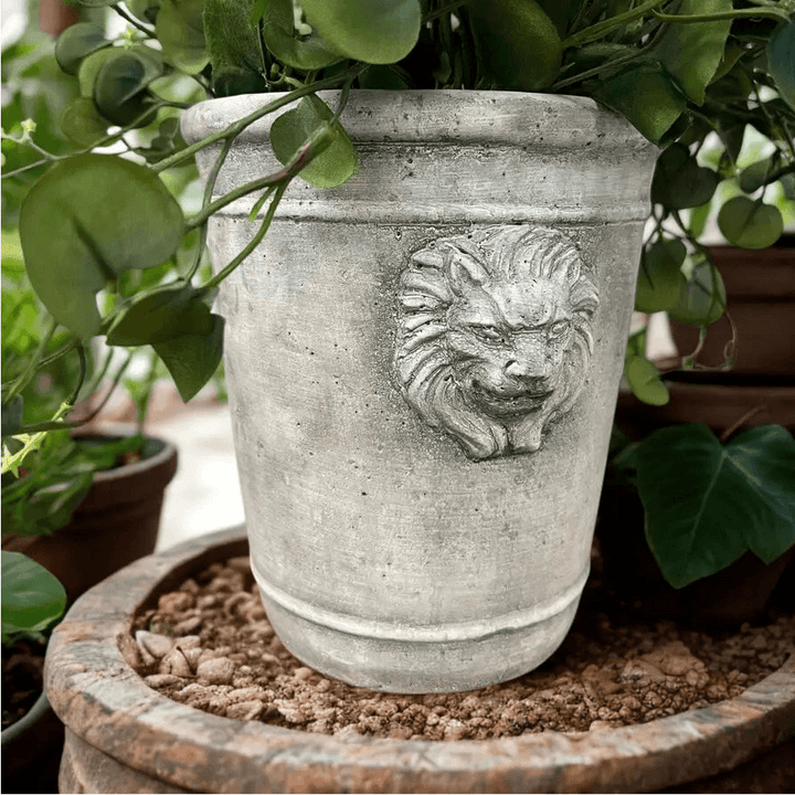 Large cement lion head planter with trailing greenery in a layered indoor garden setting