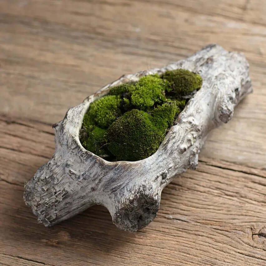 Angled view of the cement log planter and its irregular branch ends