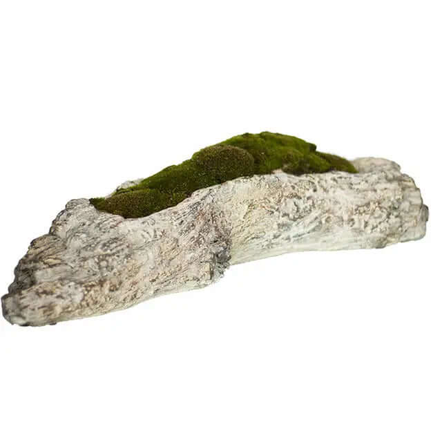 Low faux bois cement log planter with moss against white