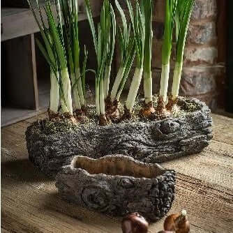 Textured Cement Log Planter filled with pansies on a rustic garden table