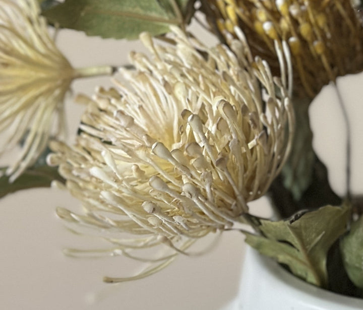 Close view of the creamy white pincushion protea bloom