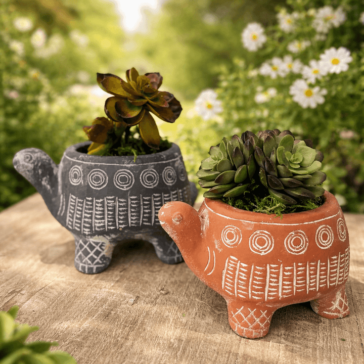 CEMENT CYAN TURTLE PLANTER