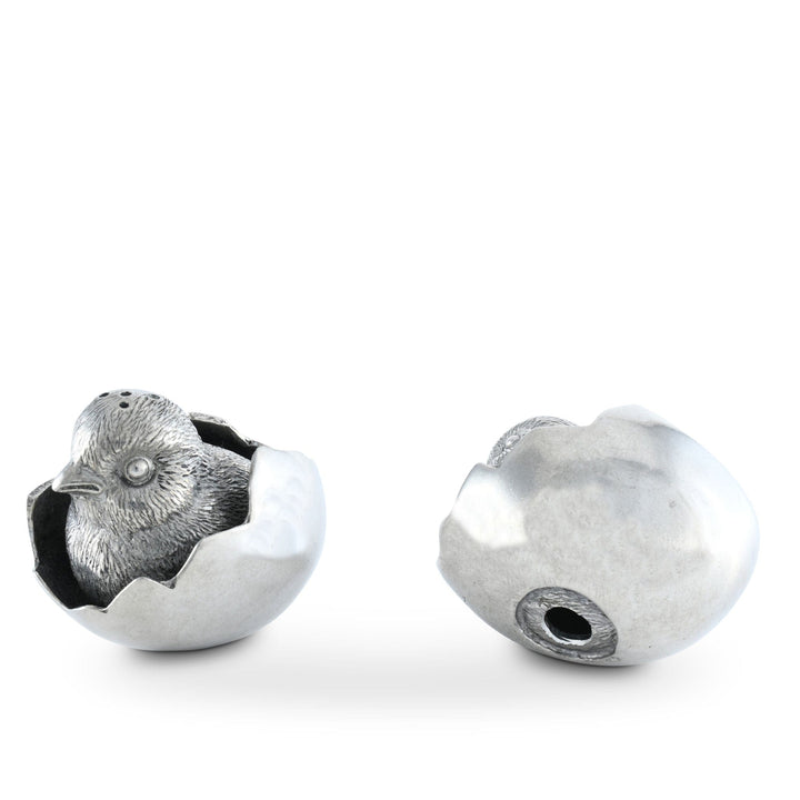 Chicks in Eggs Salt & Pepper Set