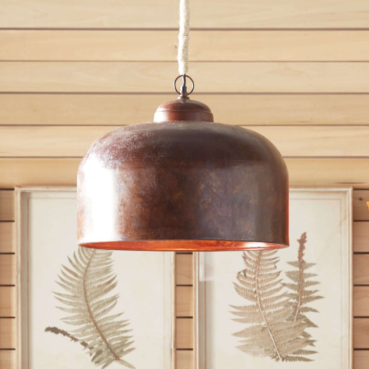 Vintage industrial iron pendant light with jute wrap, featuring a rustic dome shade above botanical artwork.