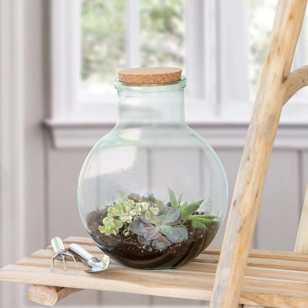 Vintage Glass Terrarium with Cork Lid and Garden Tools on wooden shelf with succulents.