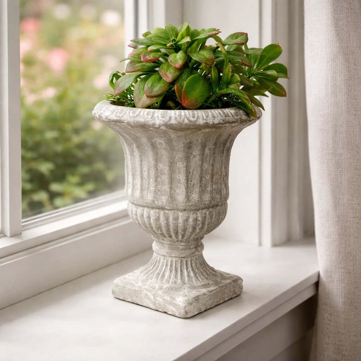 Weathered Cement Pedestal Urn Planters in two sizes with white flowers