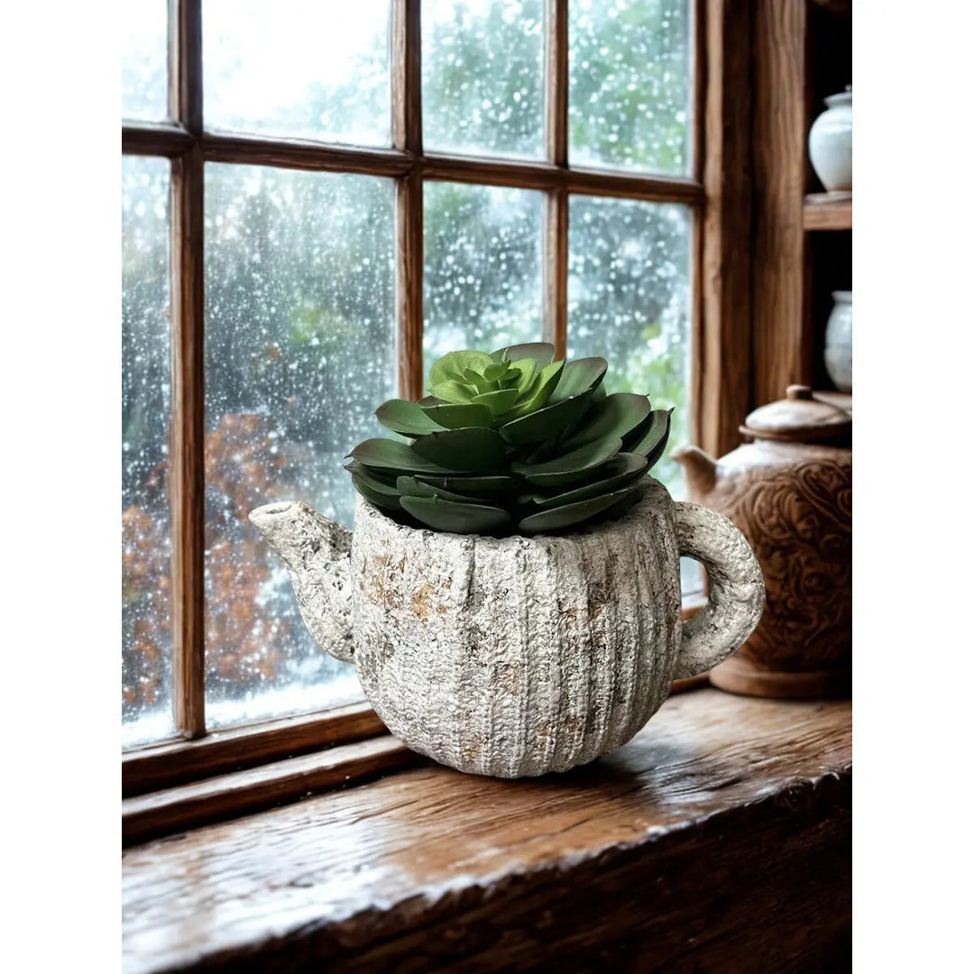Cement teapot planter holding a compact succulent arrangement