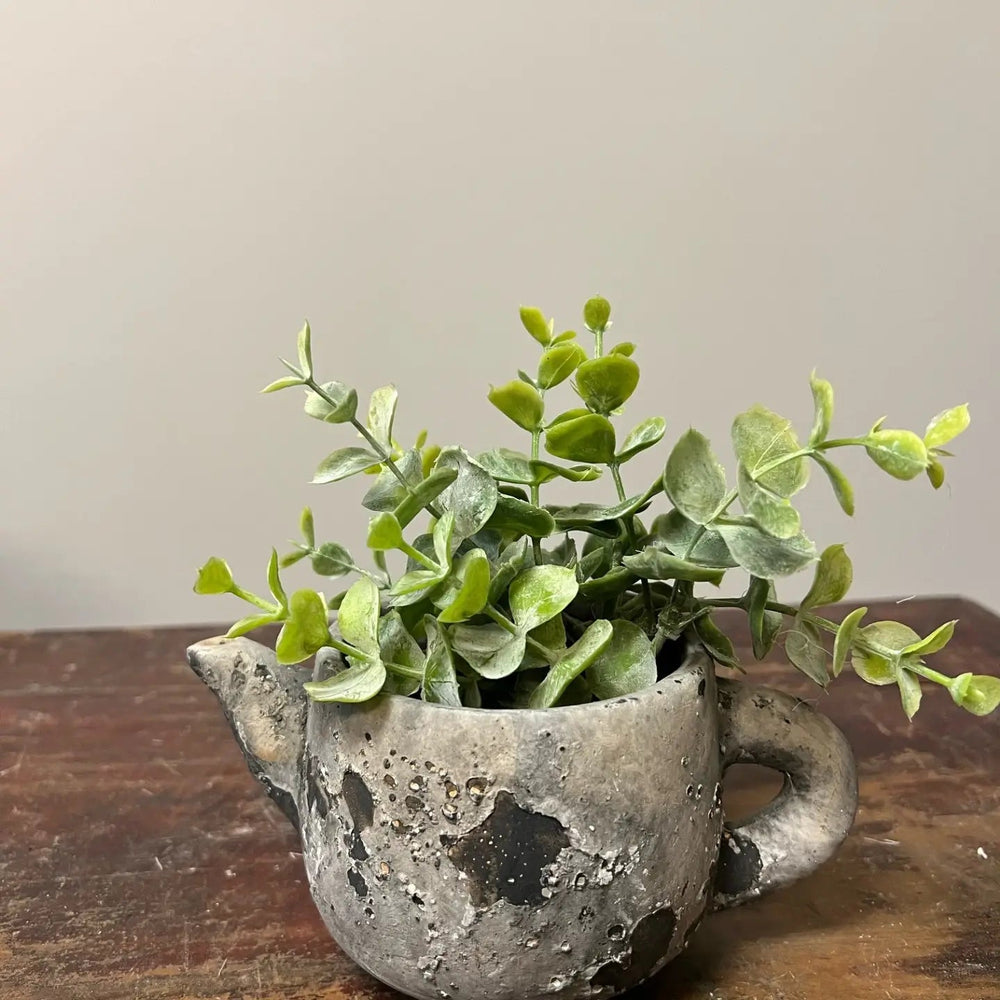 Weathered cement teapot succulent planter with greenery beside an open book against a muted blue wall