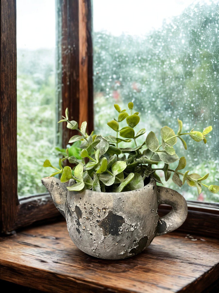 Rustic gray cement teapot planter filled with feathery foliage on a softly textured backdrop
