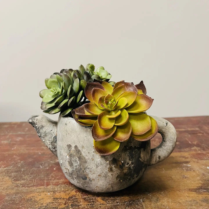Close view of the ridged lid and weathered finish on a cement teapot planter styled with books