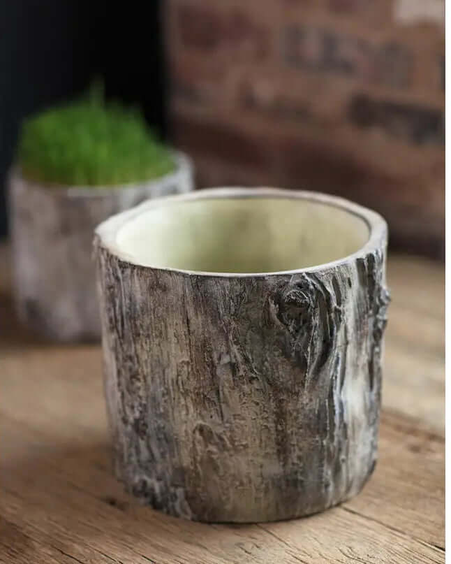 Empty round cement planter showing woodgrain knots and pale interior