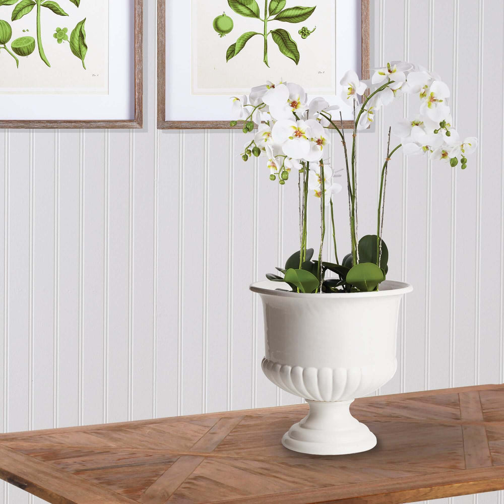 White ceramic urn planter with white orchids, ideal for Tuscan-inspired decor, set against a light wood table.