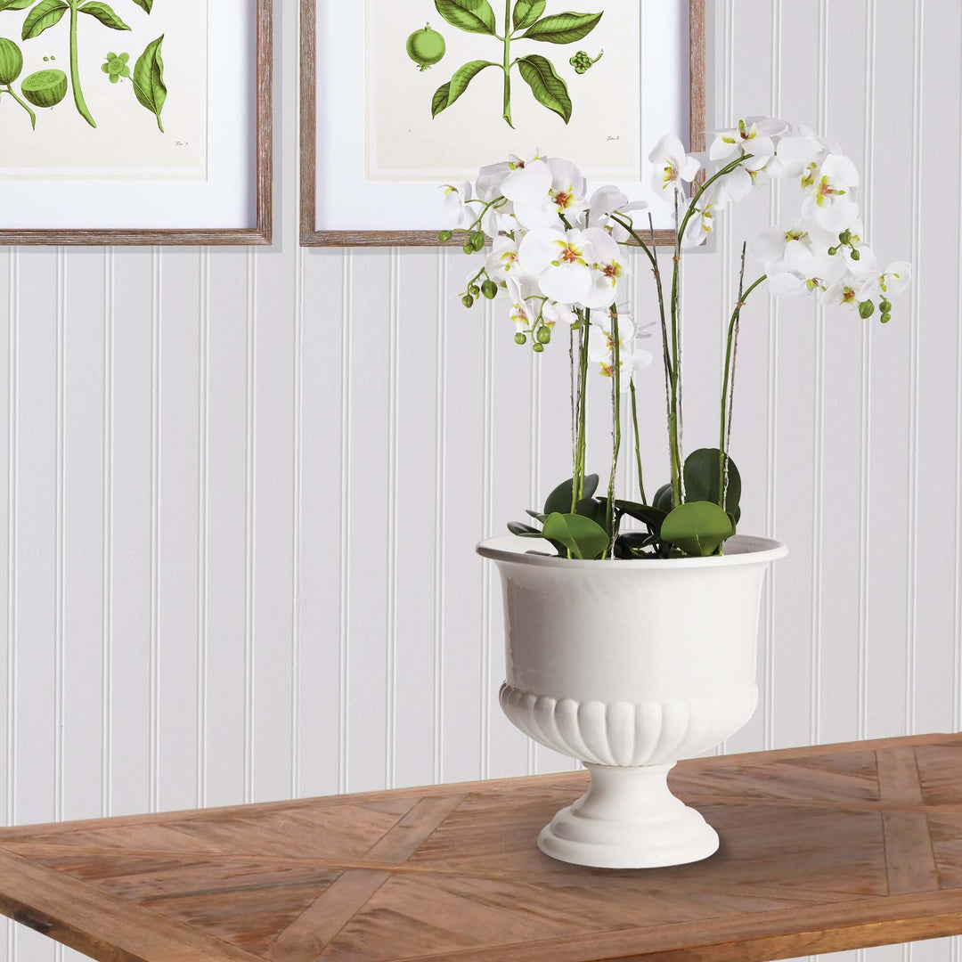 White ceramic urn planter with white orchids, ideal for Tuscan-inspired decor, set against a light wood table.