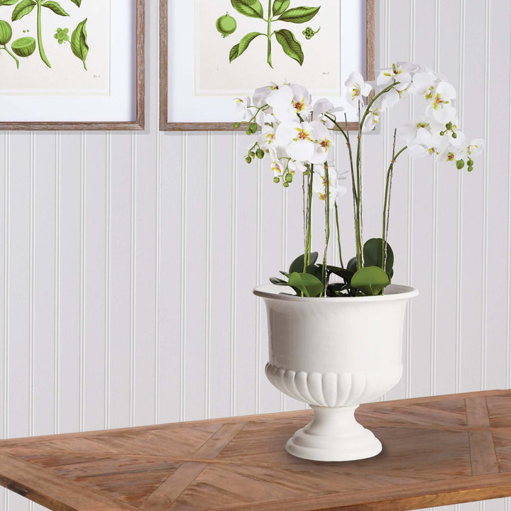 White ceramic urn planter with white orchids, ideal for Tuscan-inspired decor, set against a light wood table.