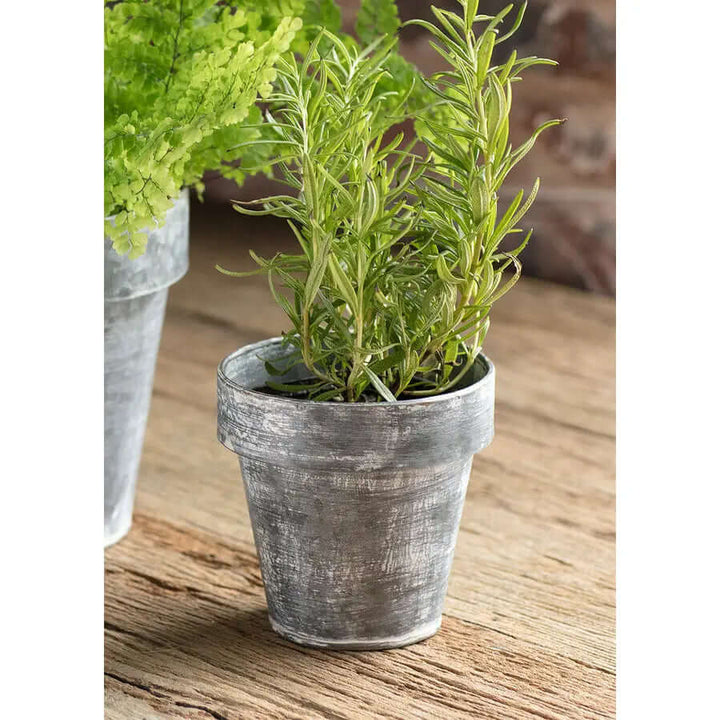 Zinc Flower Pot